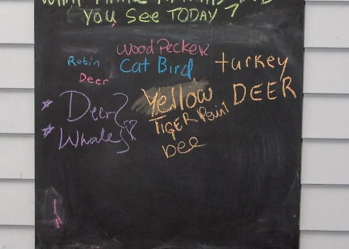 Best Hotels in Bar Harbor ME