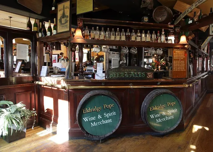 Best Dog Friendly Accommodations in Dorchester