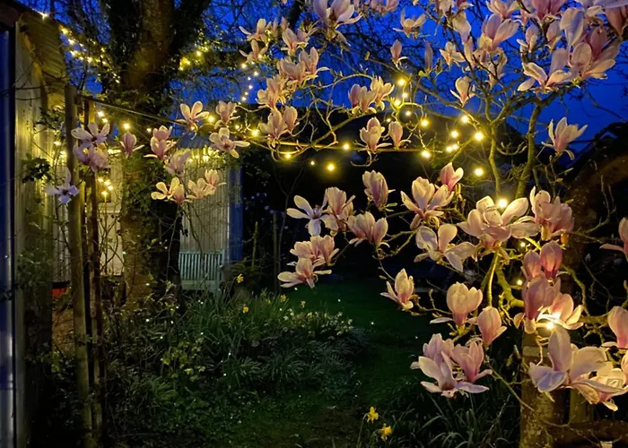 Finest Hotels in Beaulieu