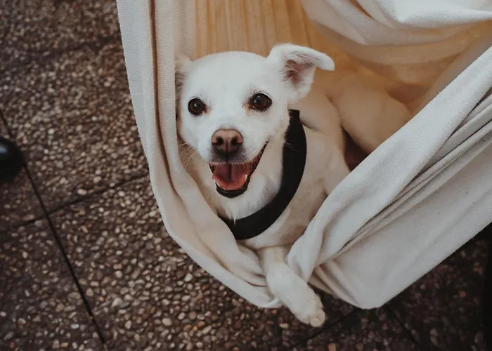 I migliori ostelli a Milano per ogni viaggiatore