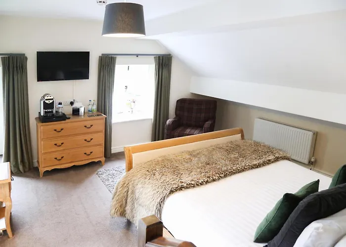 Top Dog Friendly Accommodations in Ludlow
